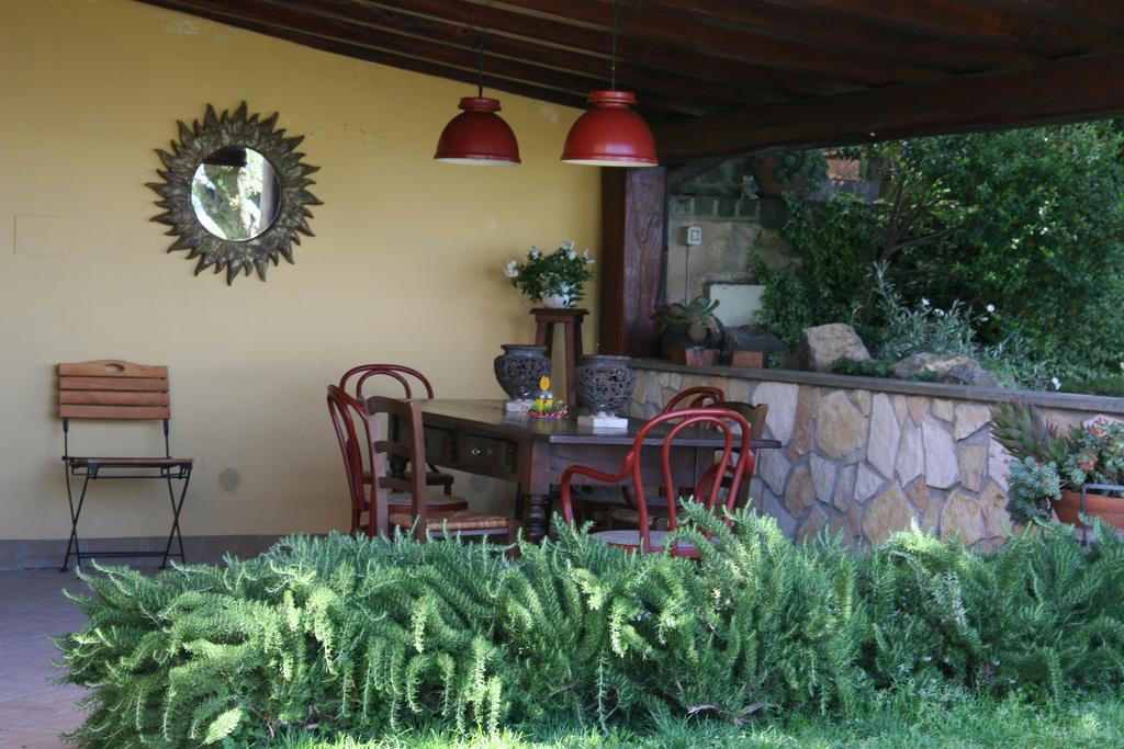 טרוויניאנו רומאנו B&B Vigna Rosa מתקנים תמונה
